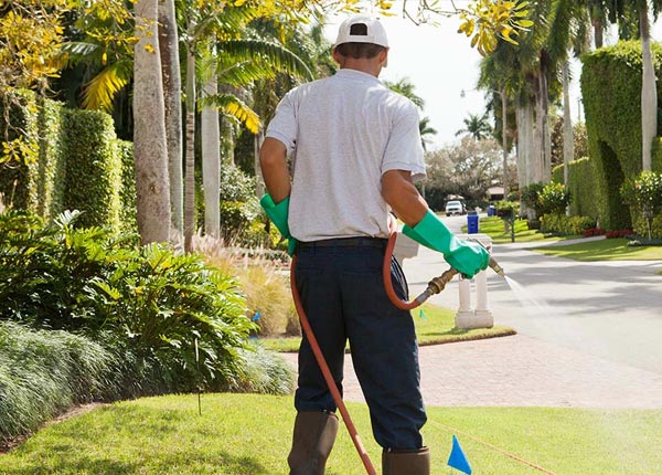 About Mechanicsville PA Pest Control Pros